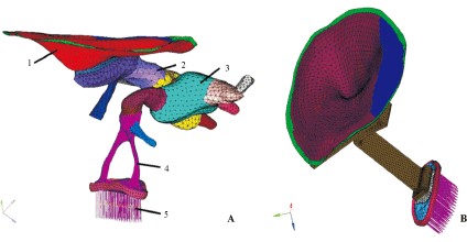 ����Ԫ����