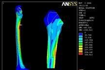 ����Ԫ����