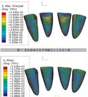 ���ȷ���