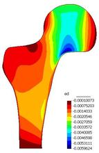 ����Ԫ����